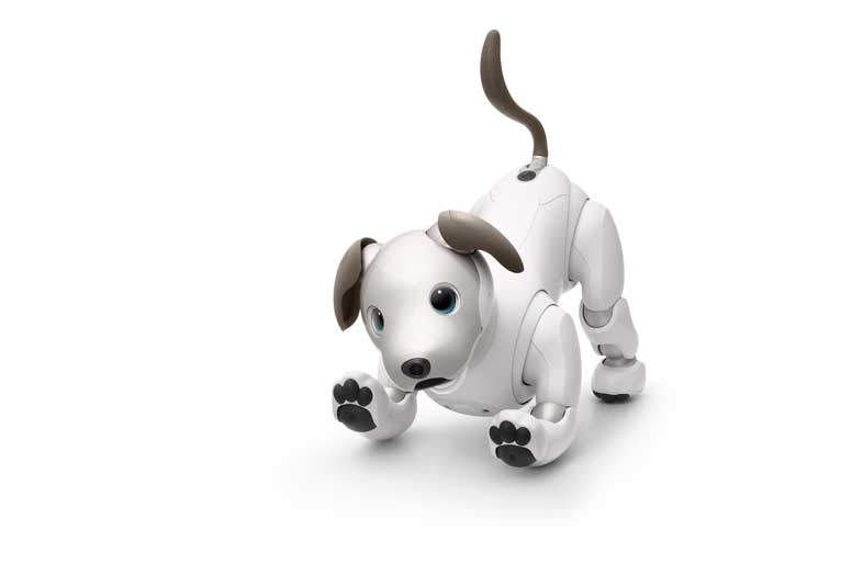 Sony Aibo robo-puppy
