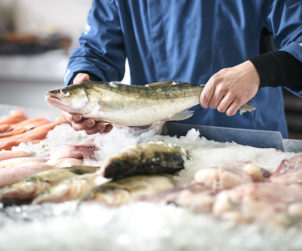 Lab-Grown Seafood Biotech Briefing