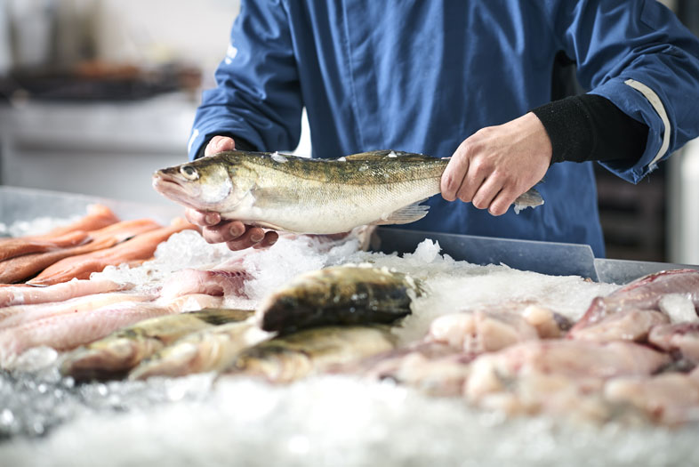 Lab-Grown Seafood Biotech Briefing