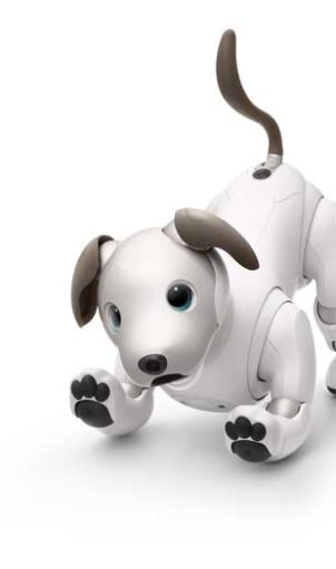 Sony Aibo robo-puppy