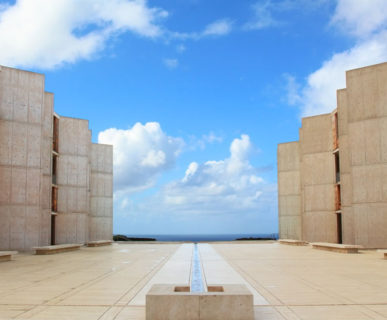 Salk Institute